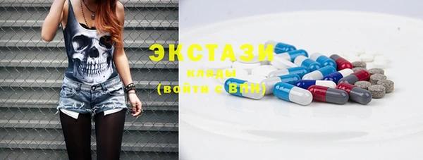 индика Приозерск
