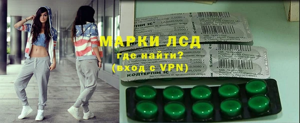 индика Приозерск
