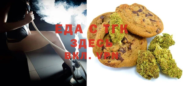 индика Приозерск